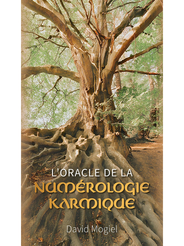L'Oracle de la numérologie karmique
