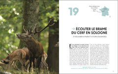 Les plus beaux lieux pour voir la vie sauvage en France