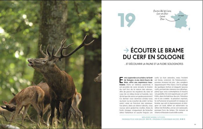 Les plus beaux lieux pour voir la vie sauvage en France