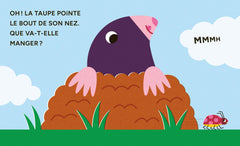 Bzzz - Mon p'tit pop-up du jardin