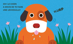 Miaou - Mon p'tit pop-up de compagnie