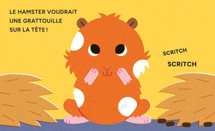 Miaou - Mon p'tit pop-up de compagnie