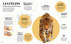 Apprendre en 5 minutes - Nature