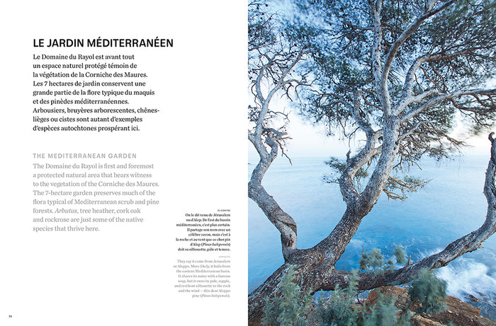 Le domaine du Rayol
