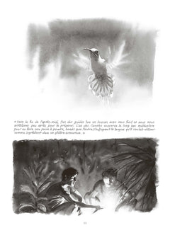 Anent - Nouvelle Edition 10 ans Steinkis