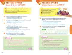 Bescherelle - L'essentiel : le tout-en-un de la langue française