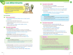 Bescherelle - L'essentiel : le tout-en-un de la langue française