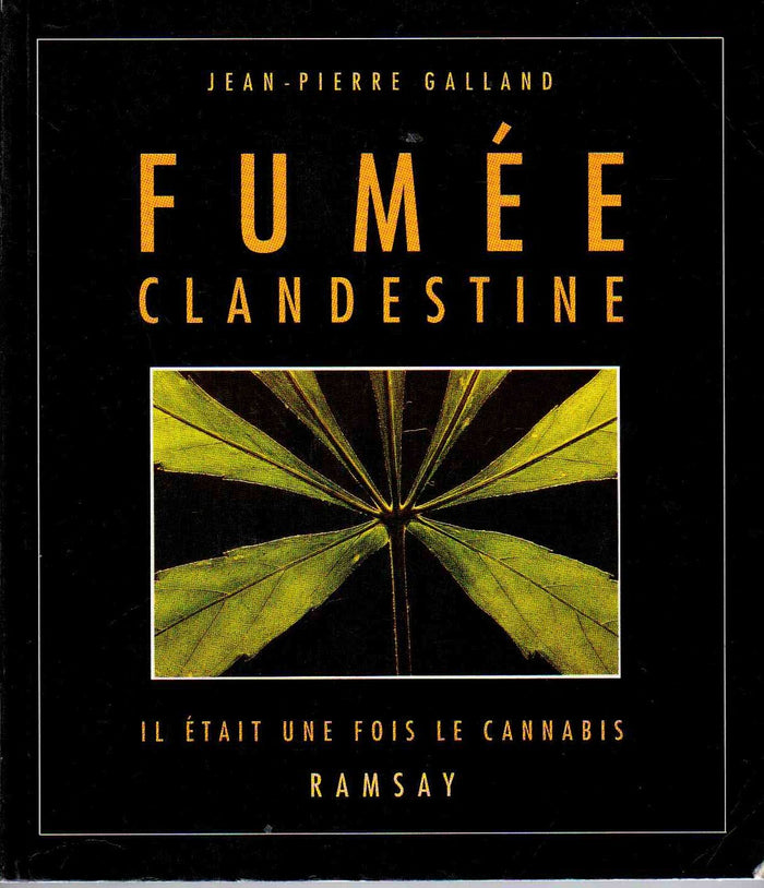 Fumee clandestine