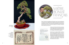 L'art du bonsaï