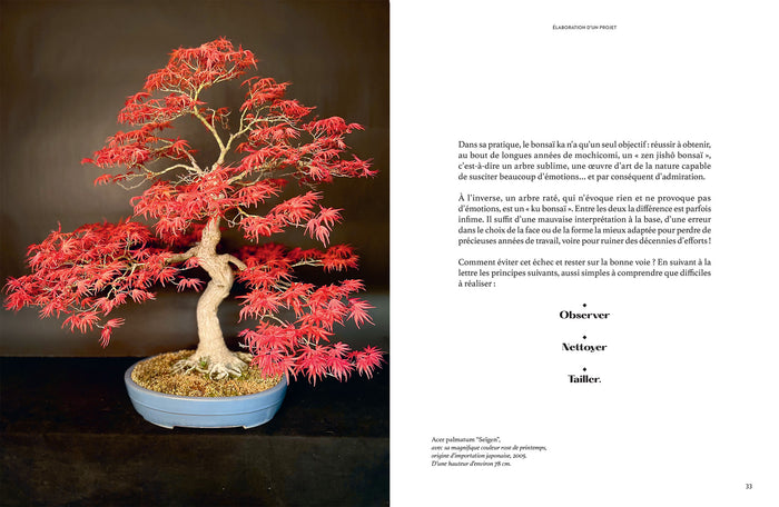 L'art du bonsaï