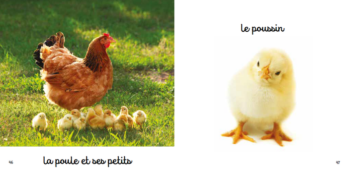 Mon mini-imagier de la ferme