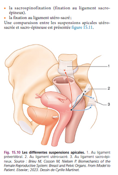 Chirurgie en gynécologie-obstétrique