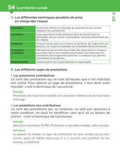 Tout le DEES en fiches mémos
