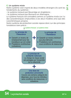 Tout le DEES en fiches mémos
