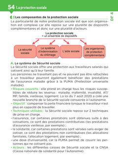 Tout le DEES en fiches mémos