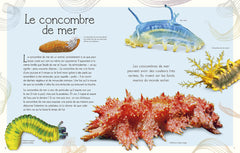 ANTHOLOGIE ILLUSTREE DU MONDE AQUATIQUE