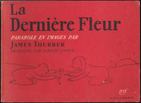 La dernière fleur (Parabole en image)