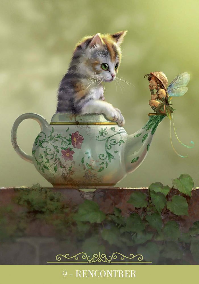 Coffret Oracle des chats fantasy