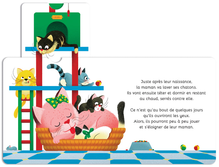 Mes dis pourquoi animés Les bébés animaux