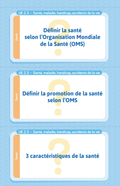 Flashcards IFSI.  Toute l'UE 2 et l'UE 4 du semestre 2