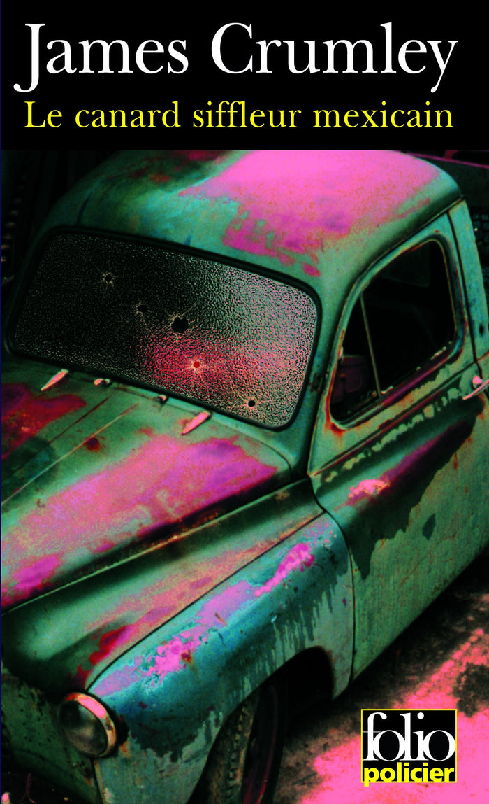 Le Canard siffleur mexicain