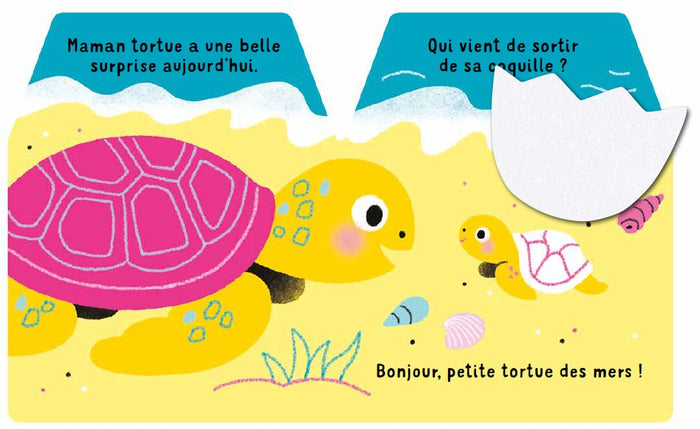Cache-cache petite tortue des mers