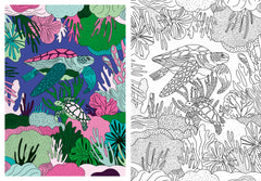 Inspiration - Nature