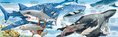 Mon grand livre des animaux marins