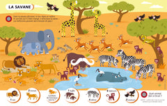 Ecoute et trouve les animaux