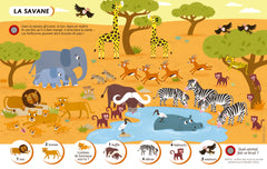 Ecoute et trouve les animaux