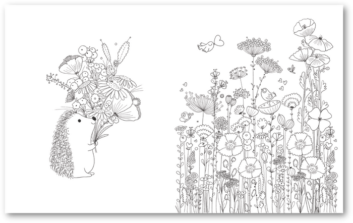 Merveilleux coloriages