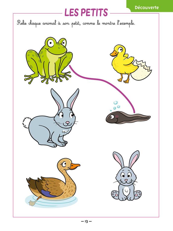 Jouer pour réviser - De la Moyenne à la Grande Section 4-5 ans