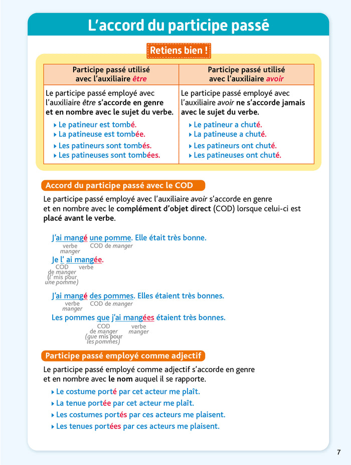 Bled Ecole Primaire Conjugaison
