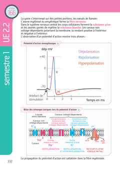 Tout le Diplôme Infirmier en fiches mémos - DEI - UE 1.1 à 6.2 - IFSI - Entrainement révision 3e Ed