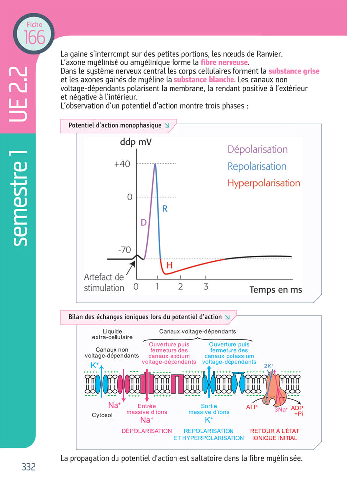 Tout le Diplôme Infirmier en fiches mémos - DEI - UE 1.1 à 6.2 - IFSI - Entrainement révision 3e Ed
