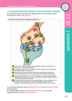 Tout le Diplôme Infirmier en fiches mémos - DEI - UE 1.1 à 6.2 - IFSI - Entrainement révision 3e Ed