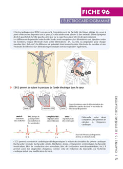 Mémo visuel de physiologie humaine