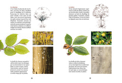 Faire son bois de chauffage sans pétrole