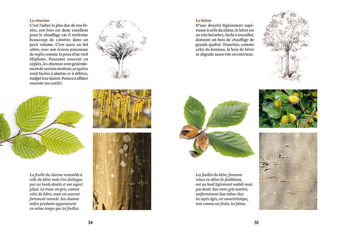 Faire son bois de chauffage sans pétrole