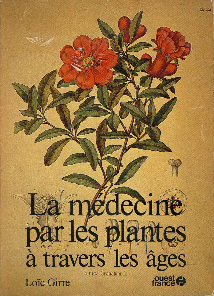 La médecine par les plantes à travers les âges