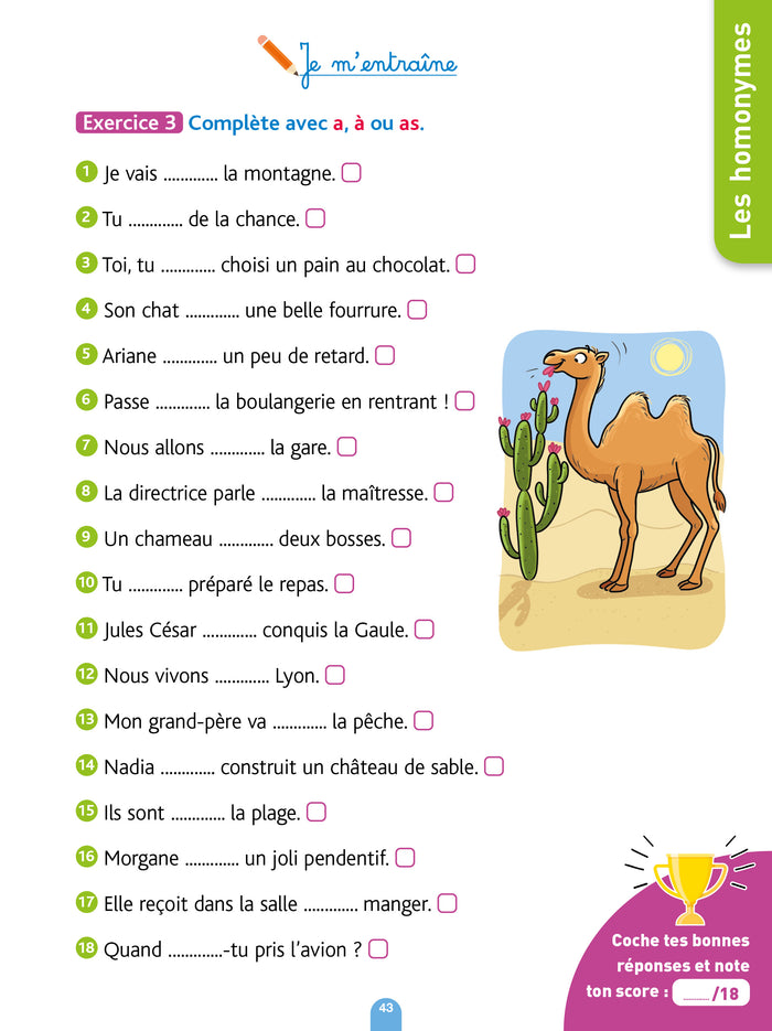 Bled Cahier d'orthographe CM1