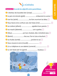 Bled Cahier d'orthographe CM2