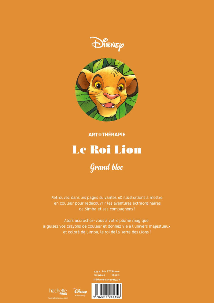 Grand bloc coloriages Roi Lion