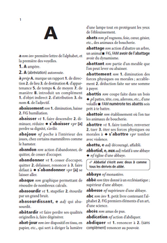 Dictionnaire Mini Larousse