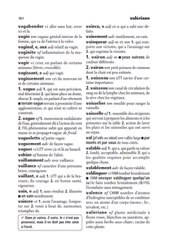 Dictionnaire Mini Larousse