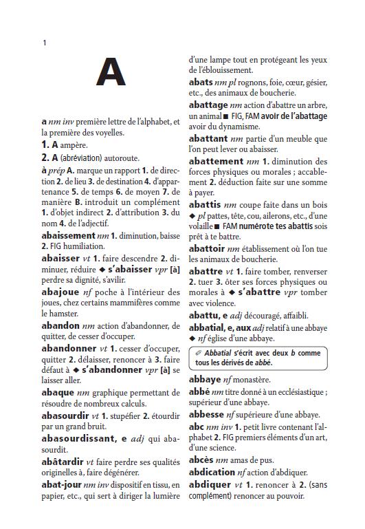 Dictionnaire Mini Plus Larousse