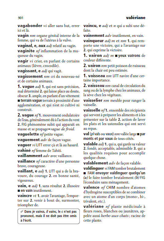 Dictionnaire Mini Plus Larousse