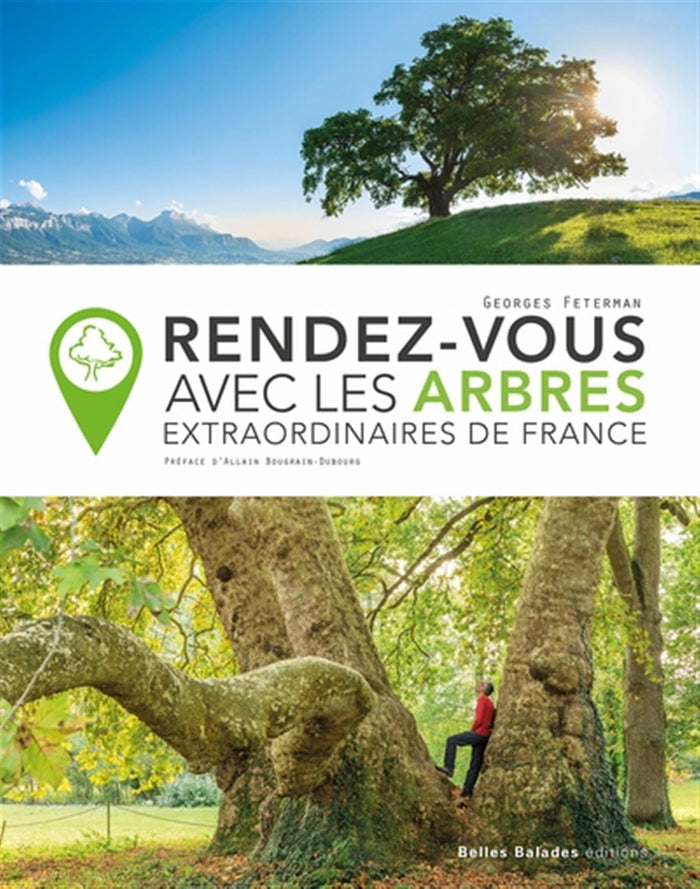 Rendez-vous avec les arbres extraordinaires de France