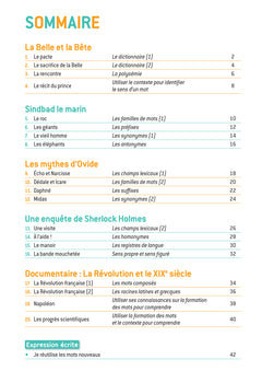En route pour le vocabulaire ! CM