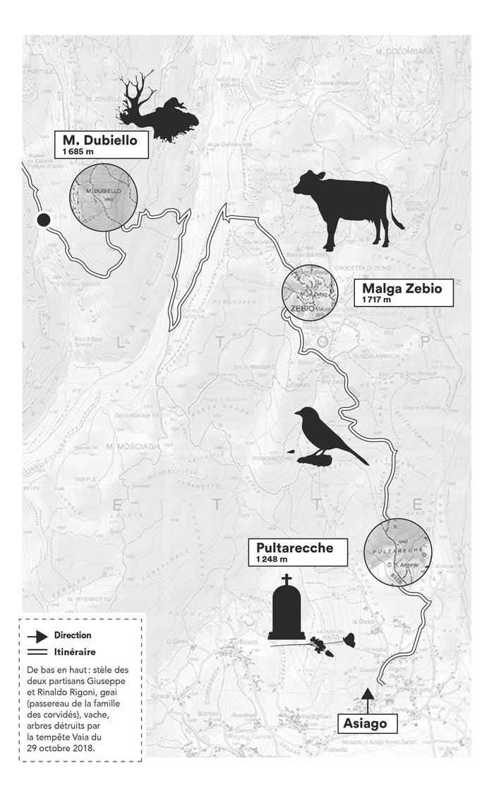 Autobiographie d'une forêt de montagne